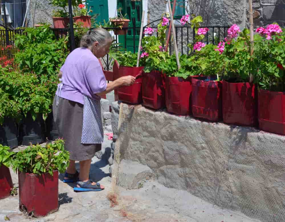 Tener propósitos es una de las razones de vivir de los habitantes de Ikaria