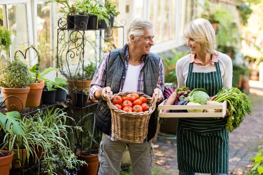 En la medicina antiaging la alimentación debe ser a base de vegetales, frutas, verduras y alimentos orgánicos. La dieta mediterránea es ideal para vivir un estilo de vida antiaging