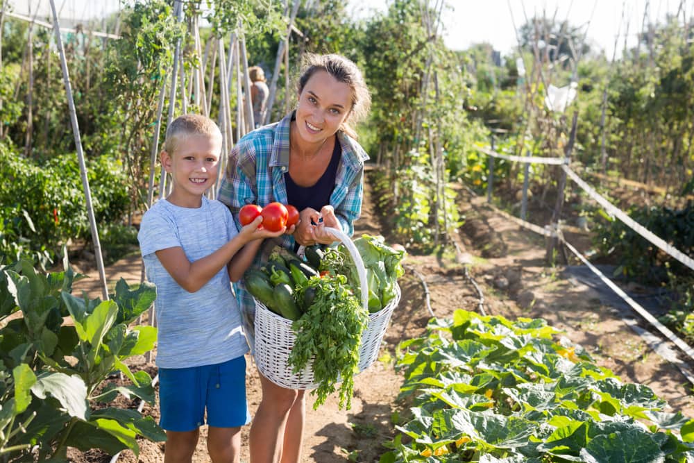 Cultivar en casa es de las actividades que más recompensa. Los alimentos orgánicos no solo son más nutritiivos sino que ayudas a ser más cuidadosa con el medio ambiente.
