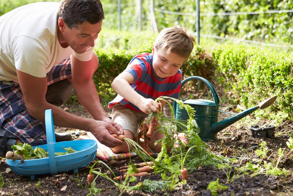 Involucra a tus pequeños en el cultivo de alimentos orgánicos. Es una forma de enseñarles a comer saludable