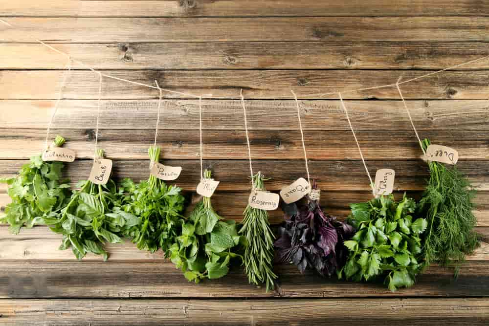 an a tu salud sino que tienes muchas formas de organizarlas para que decoren tu cocina.Las plantas aromáticas no solo ayud