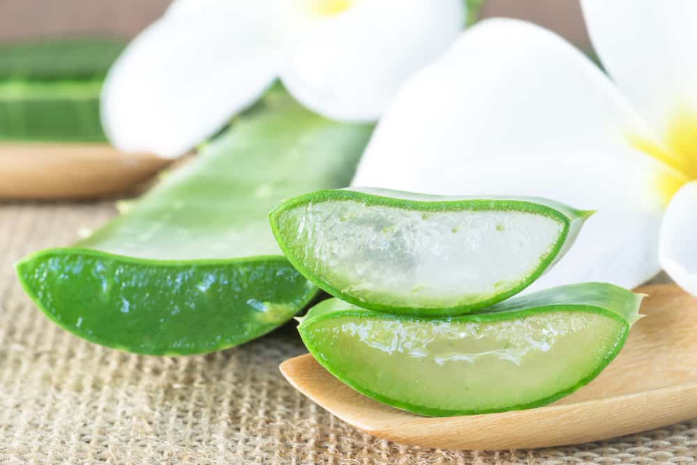 El aloe vera es un excelente remedio natural para hidratar la piel reseca.