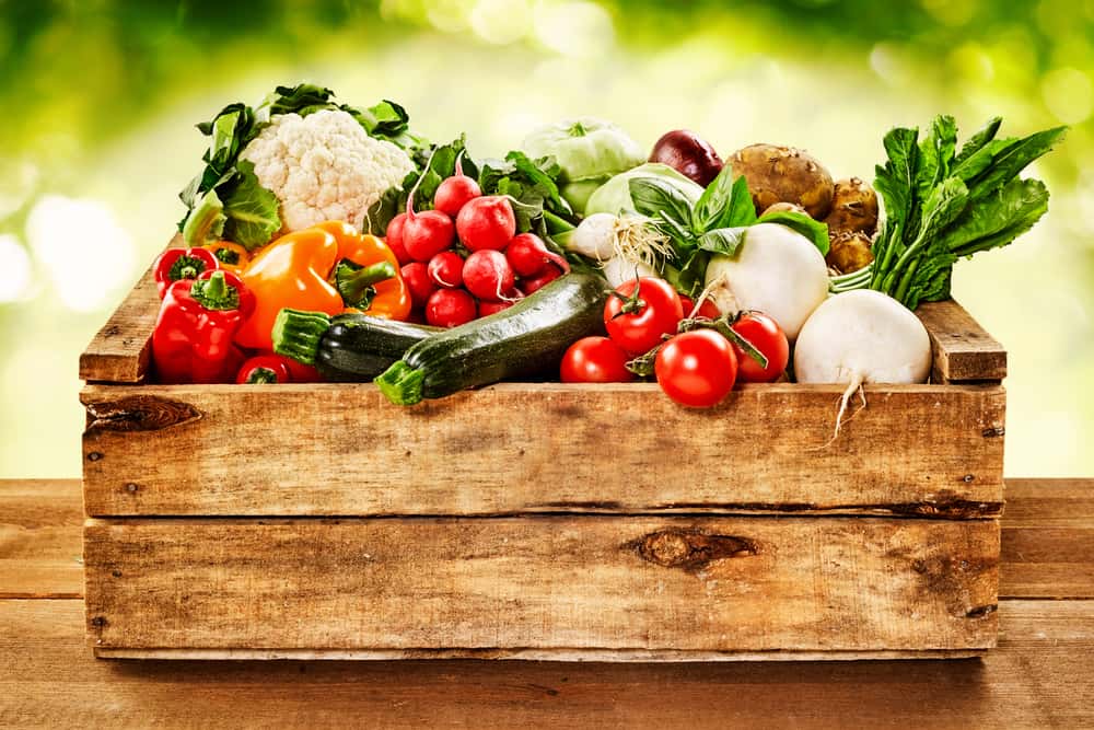 La dieta vegetariana es una aliada de la salud siempre y cuando el organismo ingiera la cantidad de proteína vegetal y nutrientes para mantener una buena salud