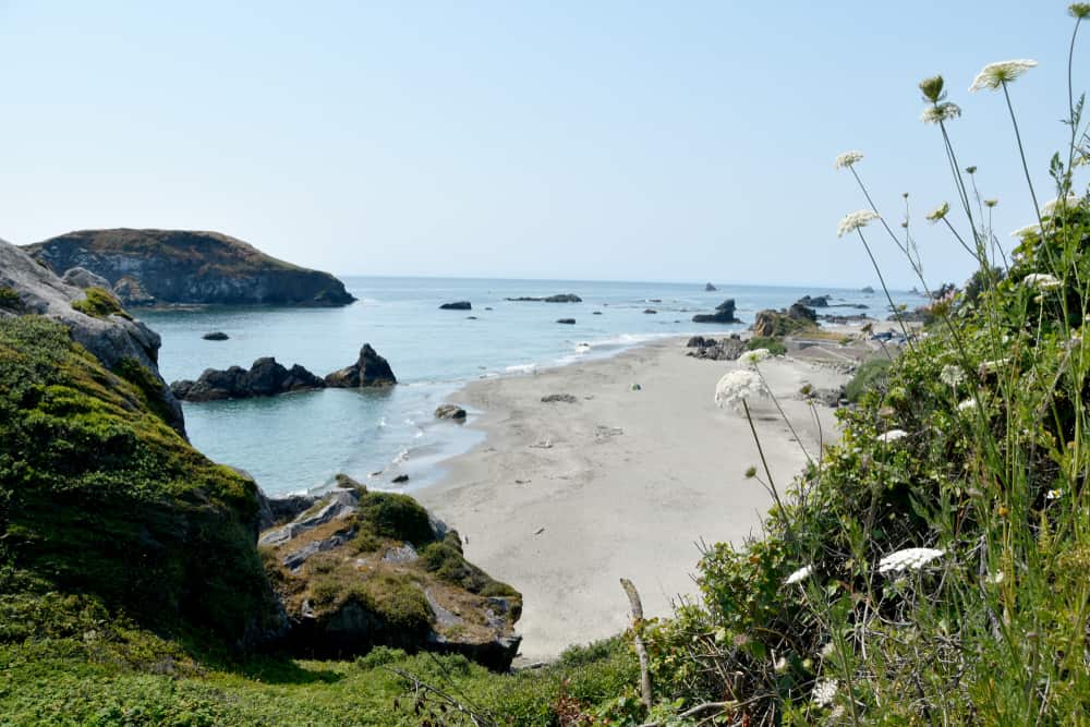 Harris Beach es una de las playas de Estados Unidos conocida por sus formaciones rocosas y piscinas naturales. Está ubicada en el extremo sur del estado, limitando con California.