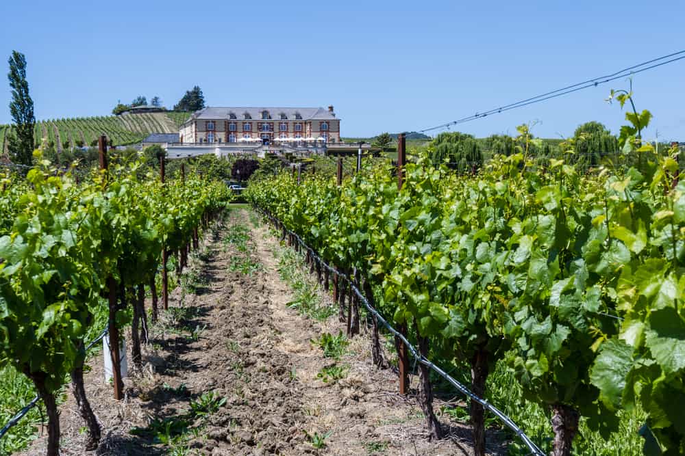 Domain Carneros en un Chateau en el Valle de Napa. En este lugar se hacen catas de los mejores vinos producidos en California