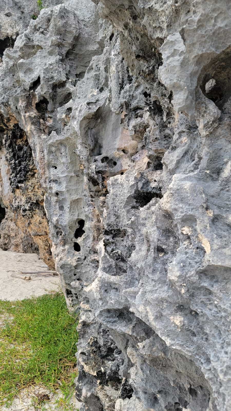 Rocas calizas escalables son parte del entorno de este parque nacional